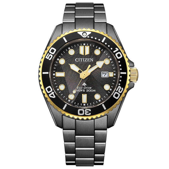 CITIZEN　PROMASTER　シチズンプロマスター　BN0264-53E　世界限定6700本
