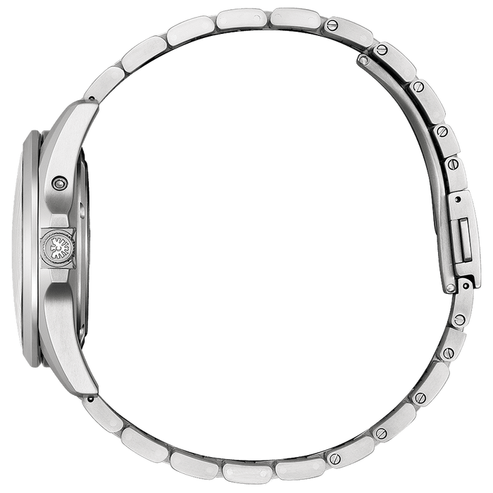 The　CITIZEN　ザシチズン　AQ4091‐56A